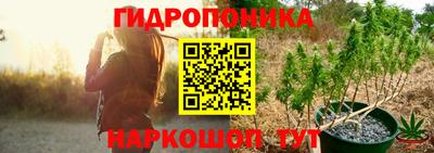 прущие крисы Мариинск