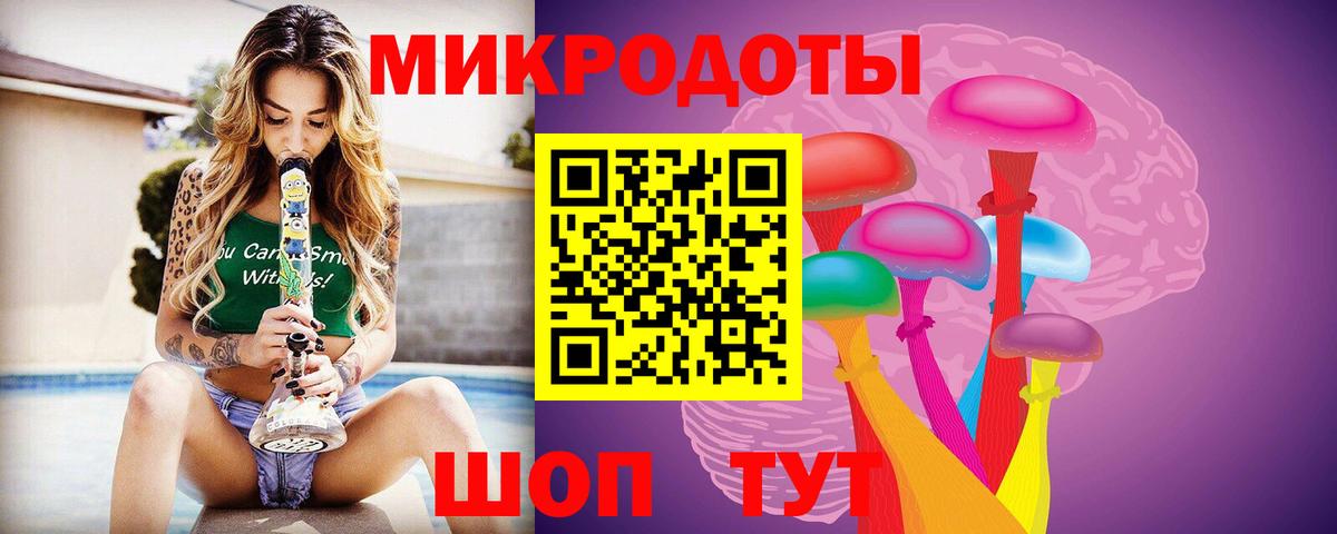 Псилоцибиновые грибы Psilocybe Советск