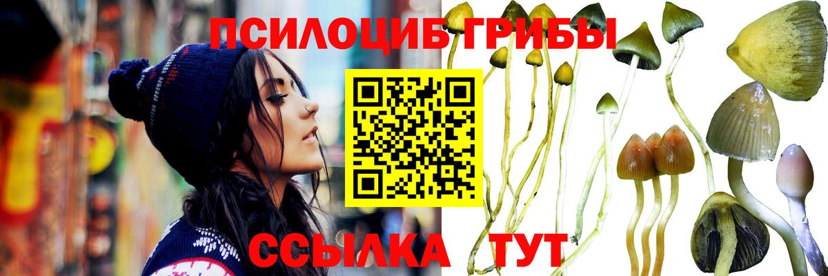 Советск  Галлюциногенные грибы MAGIC MUSHROOMS  Псилоцибиновые грибы прущие грибы  Вход с VPN 